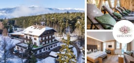Hotel WALDSEE