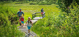 Urlaub auf dem Bauernhof Urlaub auf dem Bauernhof